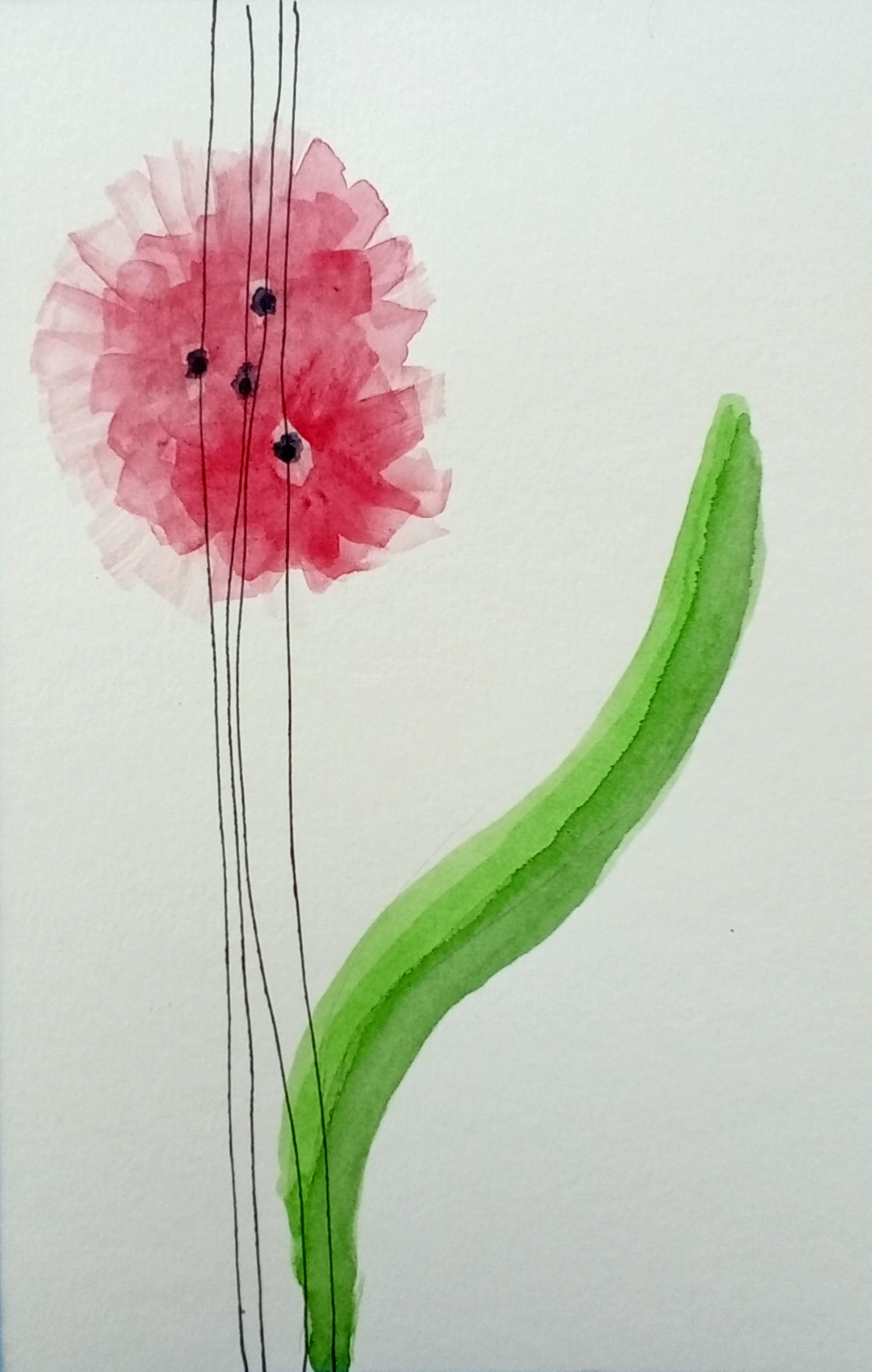 Imagen de perfil o decorativa